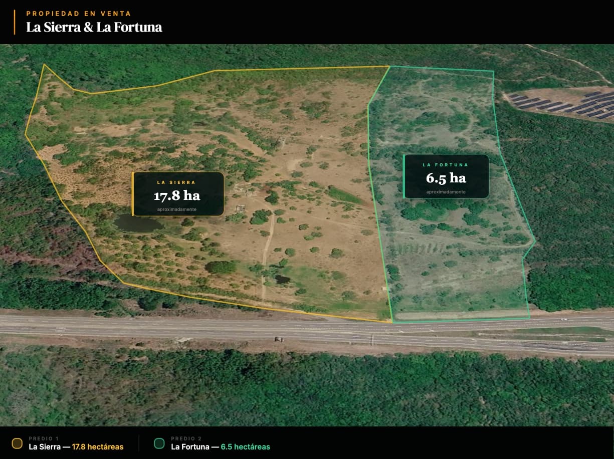 División del lote en dos predios, La Sierra y La Fortuna, sobre vista satelital